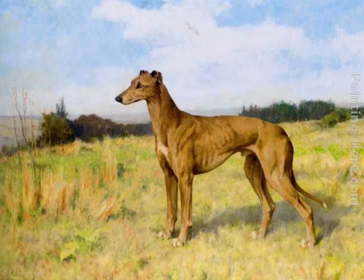 Champion Greyhound Dee Rock painting - Arthur Wardle Champion Greyhound Dee Rock art painting
